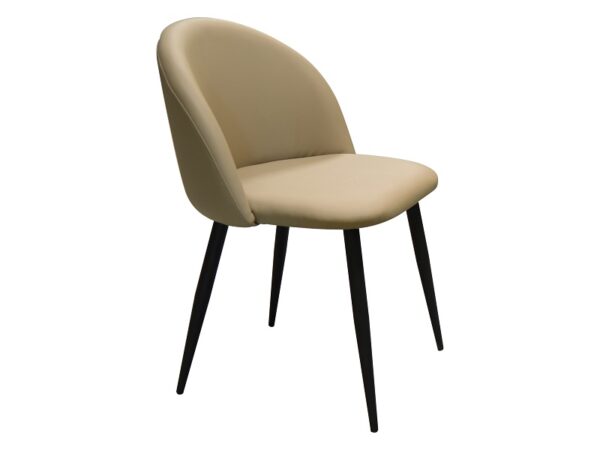 dining-chair ,indoor-dining-chair