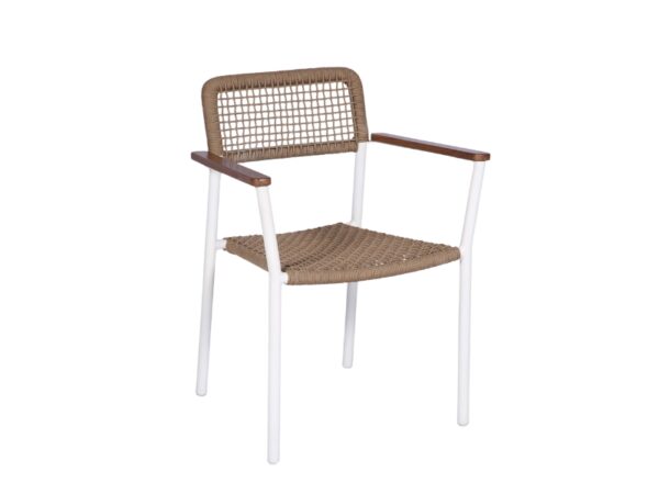 Outdoor Furniture Malaysia - Outdoor Chairs - Alex Dining Chair