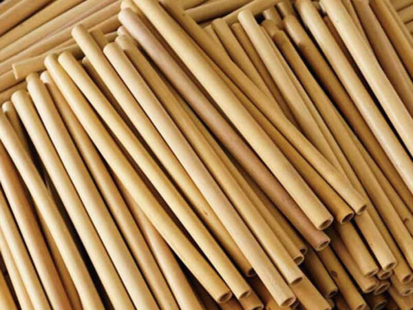 Dining Furniture Malaysia - Dining Miscellaneous - Bamboo Straws