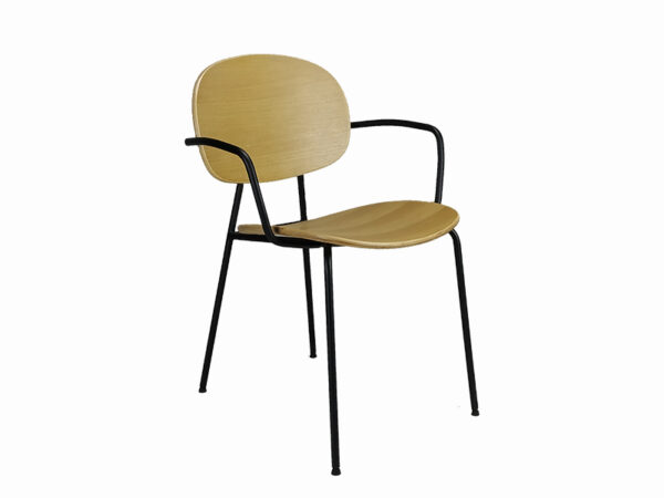 Dining Furniture Malaysia - Dining Chairs - Divolo Arm Chair