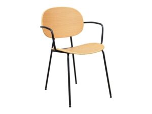 Dining Furniture Malaysia - Dining Chairs - Divolo Arm Chair